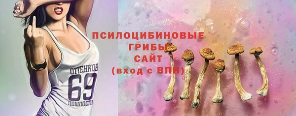 2c-b Козельск