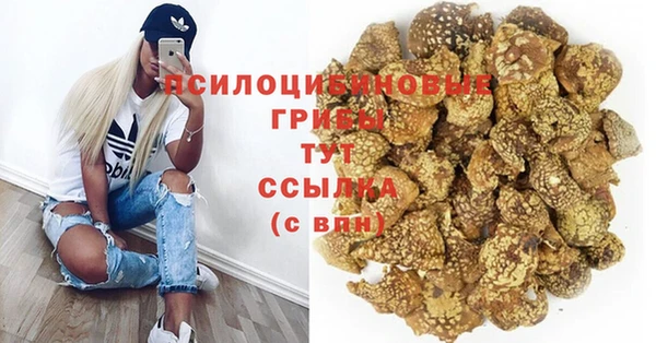 скорость Козловка