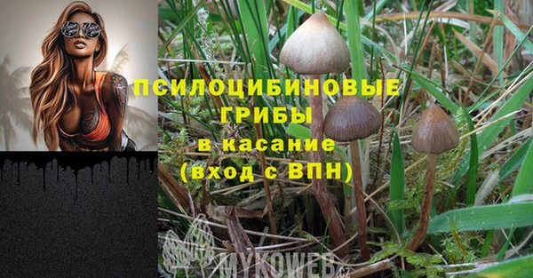 стафф Киреевск
