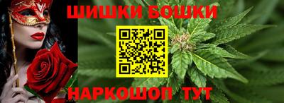 бошки Гатчина