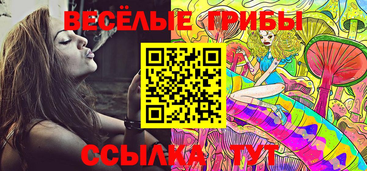 Псилоцибиновые грибы мухоморы  Муравленко  Галлюциногенные грибы прущие грибы 