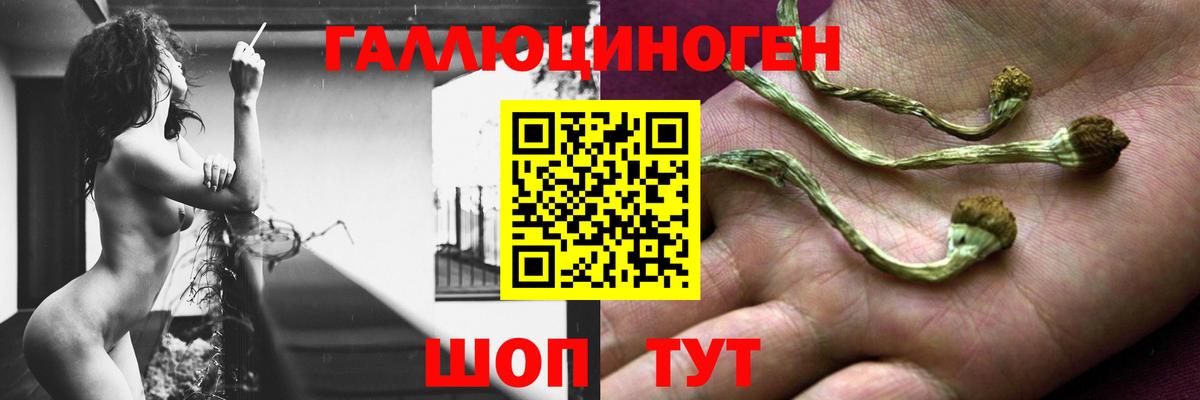 Псилоцибиновые грибы GOLDEN TEACHER Муравленко