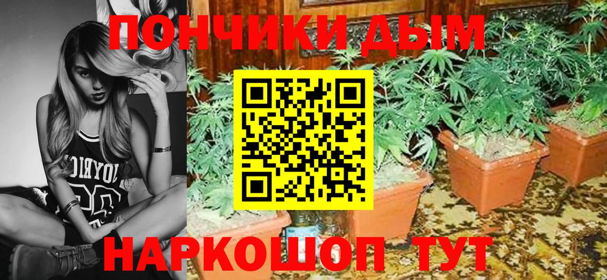 Муравленко  Шишки марихуана VHQ  Вход с VPN  Каннабис AK-47  Шишки марихуана сатива  Конопля OG Kush 