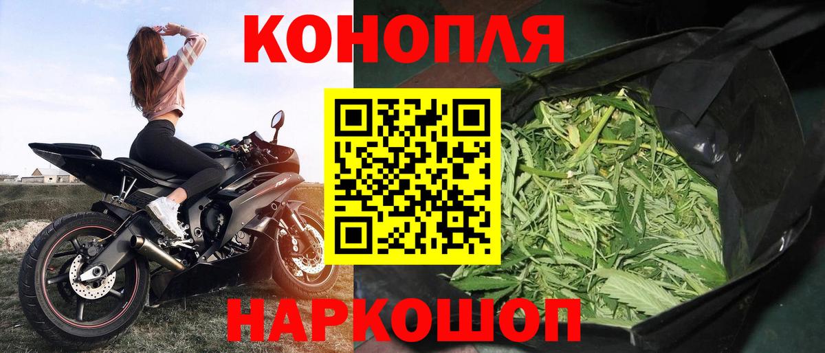 Канабис план Муравленко